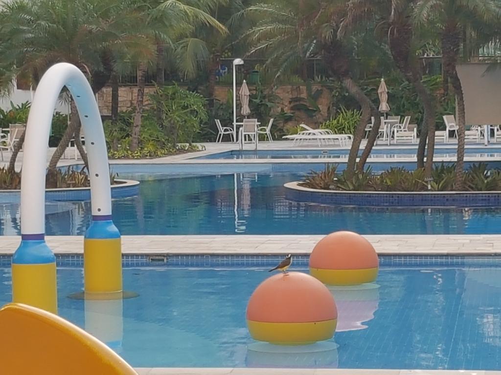 Sweet Comfort Apartment In Rio ริโอเดจาเนโร ภายนอก รูปภาพ